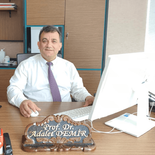 Prof. Dr. Adalet Demir