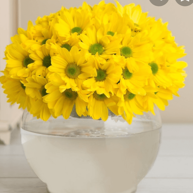 Prof. Dr. BİLİM CANTURK