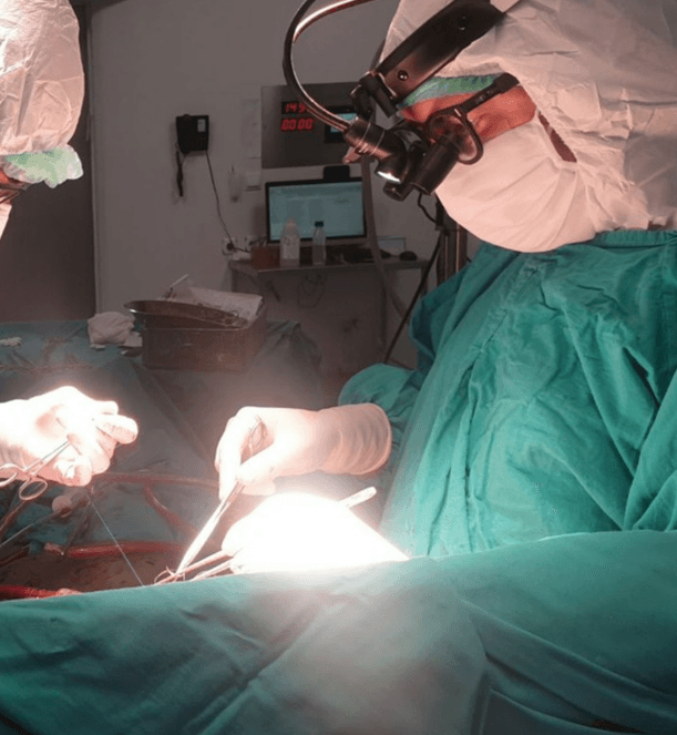 Prof. Dr. Ömer Tanyeli