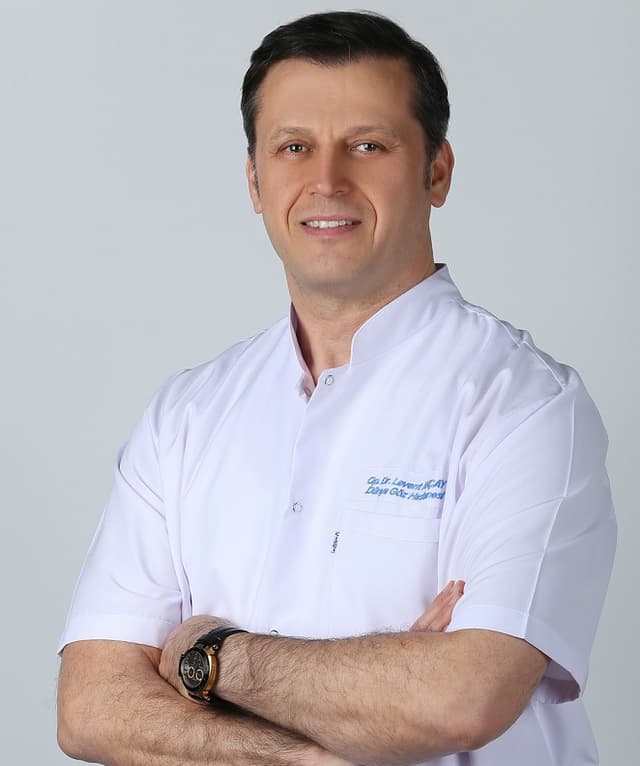 Prof. Dr. Levent Akçay