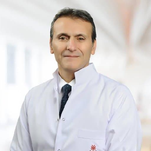 Prof. Dr. Alpay Örki