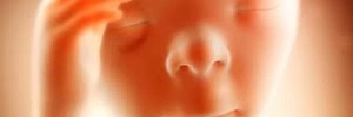 Hafta Hafta Gebelik Takibi (13. Hafta-28. Hafta)