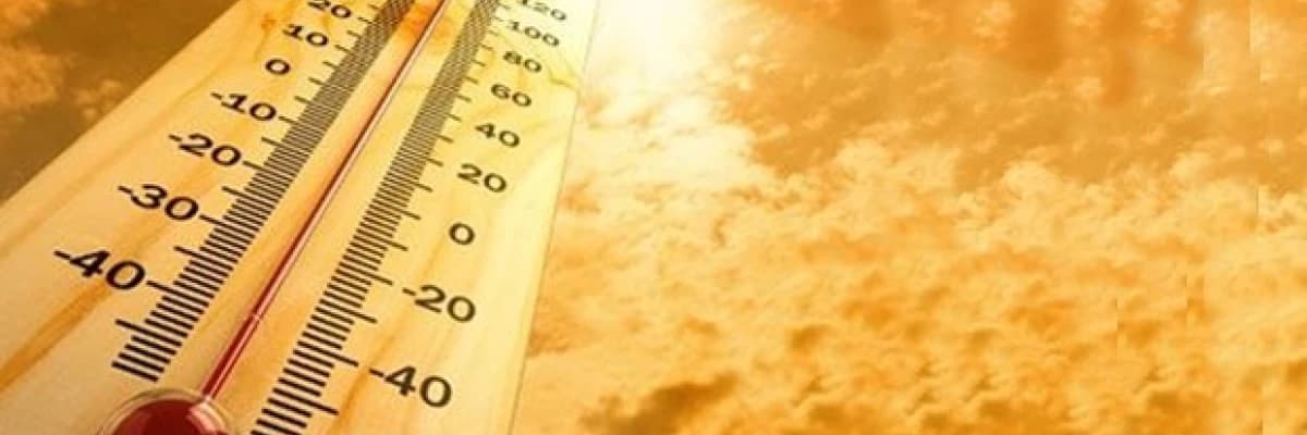 Aşırı sıcaklarda tüp bebek başarısı düşer mi ?