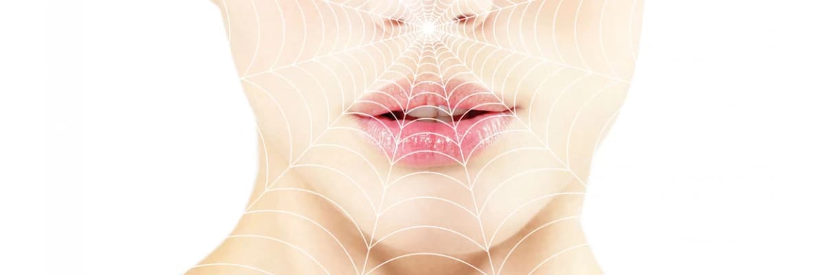 Örümcek ağı estetiği