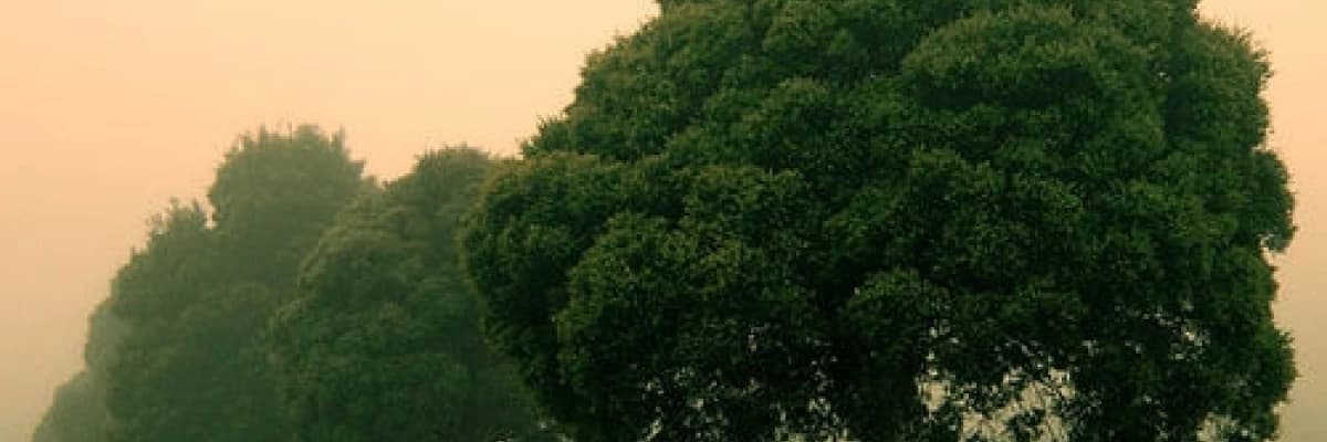 Çocuklarımıza iyi bir miras bırakmak