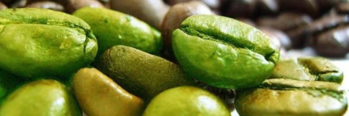 Yeşil kahve nedir? sağlığa ve zayıflamaya etkileri nelerdir?