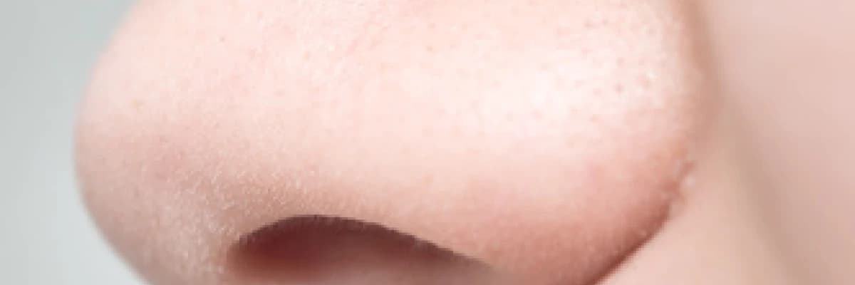 Burun – sinüs ameliyatları