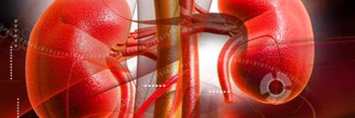 Kronik böbrek hastaları için beslenme önerileri