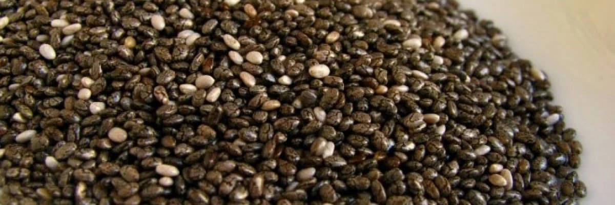 Chia tohumu ile ilgili sürpriz bilgiler!