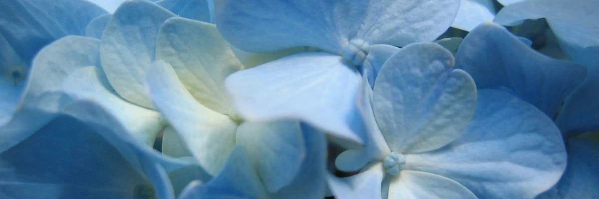 Smear testi nedir ? Niçin her kadına yapılmalıdır ?