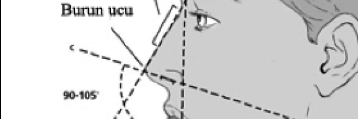 Mükemmel ve estetik burnunuz