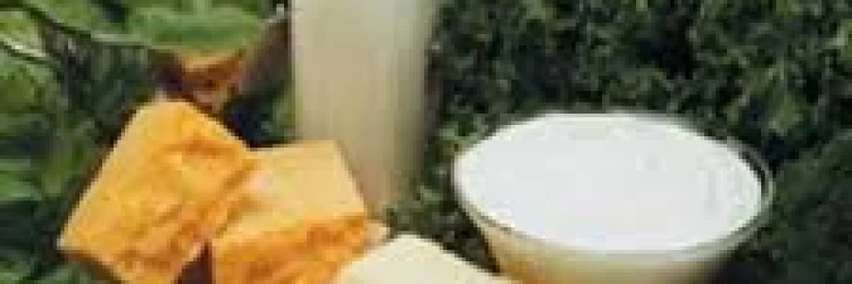 Hamilelikte güçlü kemikler için kalsiyum