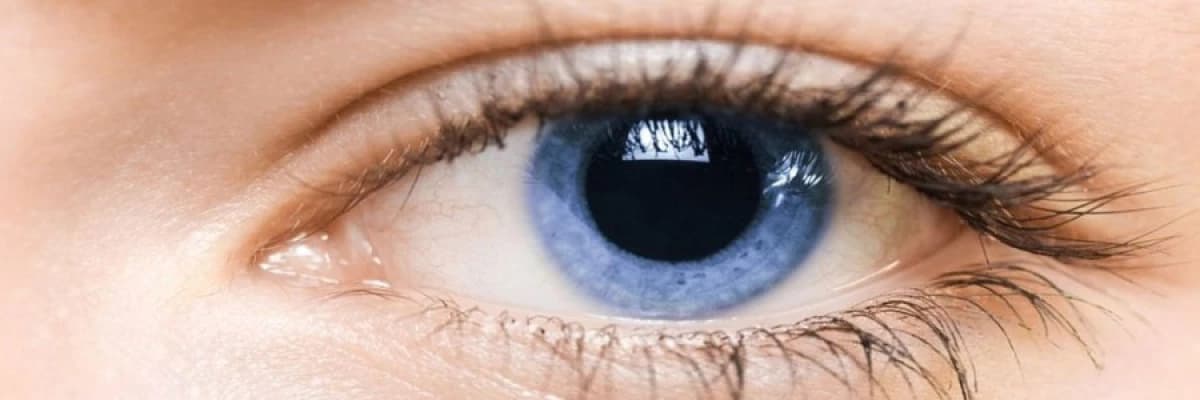 Göz kapağı ameliyatı (blefaroplasti ameliyatı)