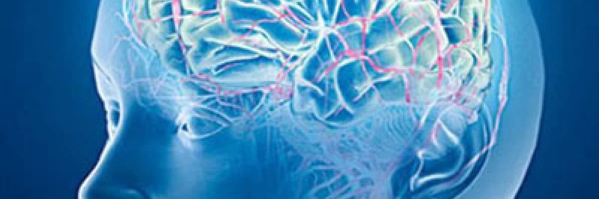 Felç (inme) rehabilitasyonu