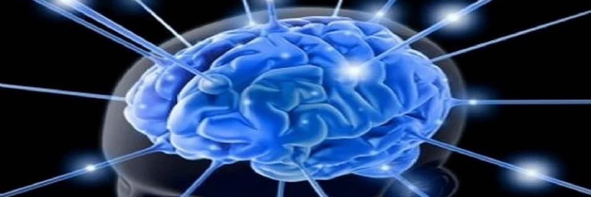 Beyin resetlemesi ve tms tedavisi