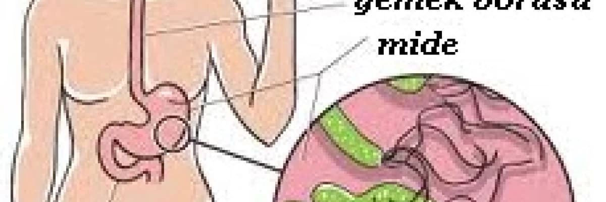 Çocuklarda mide mikrobu (helicobacter pylori)