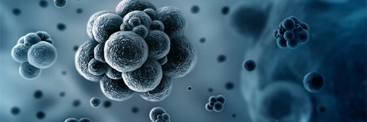 Tüp bebek tedavisinde genetik uygulamalar