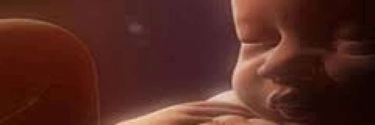 Tüp bebek ve yapay rahim