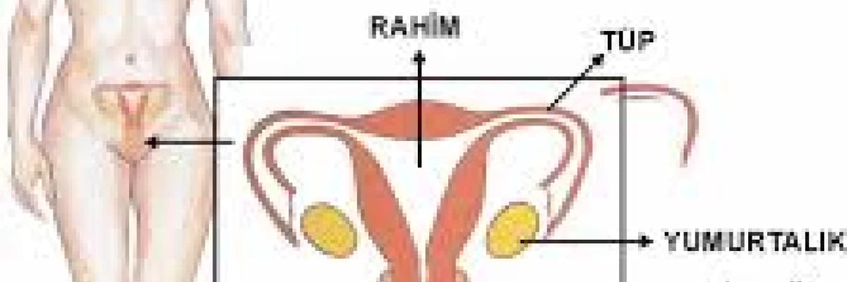 Hastalar için temel bilgiler