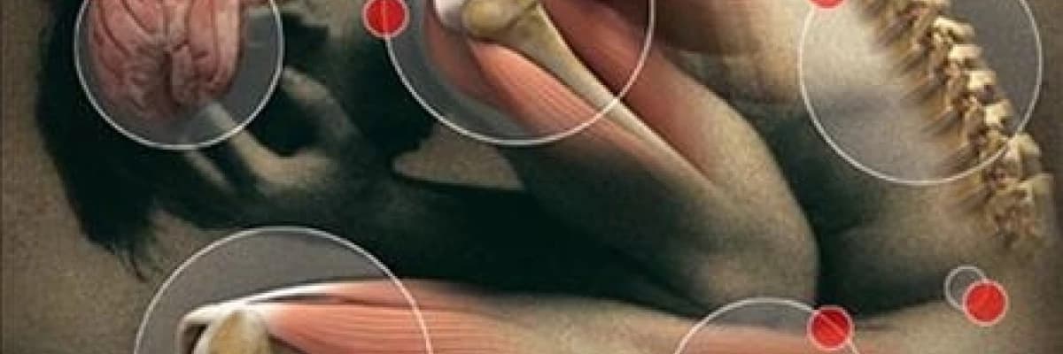 Bel fıtığı nedir ? Nedenleri nelerdir?