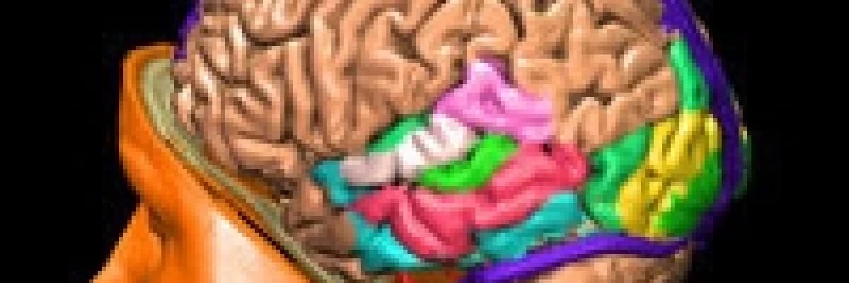 Hidrosefali, belirtileri ve tedavisi