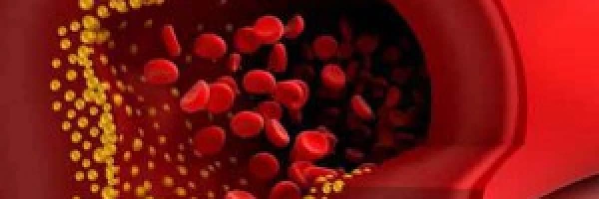 İyi ve kötü kolestrol nedir?