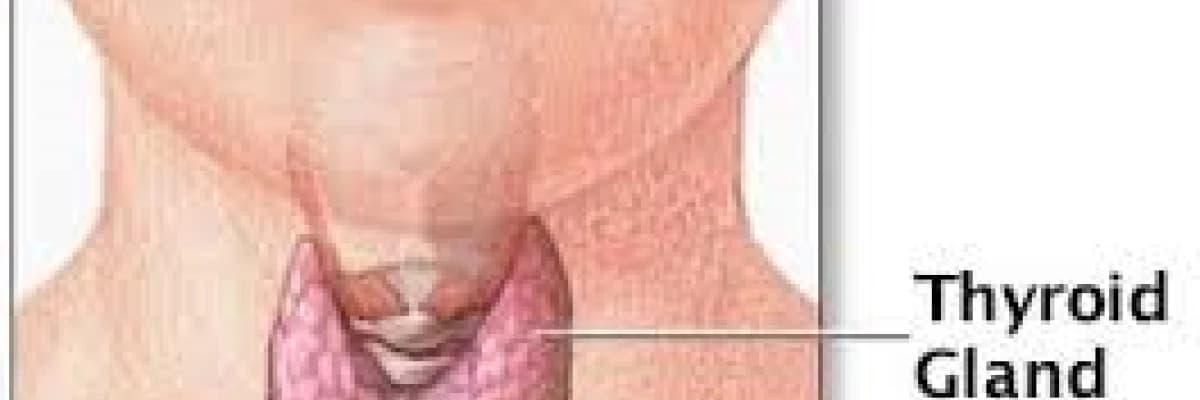 Tiroid hastalıklarına genel bakış