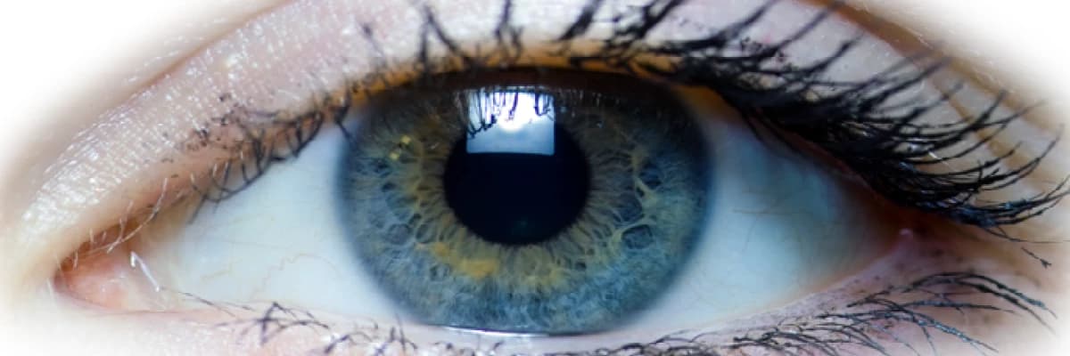 Göz hareketleriyle duyarsızlaştırma ve yeniden işleme (emdr)