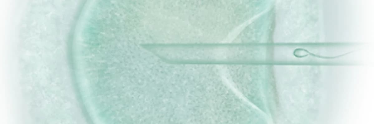 Doğurgan zihin / doğurgan beden