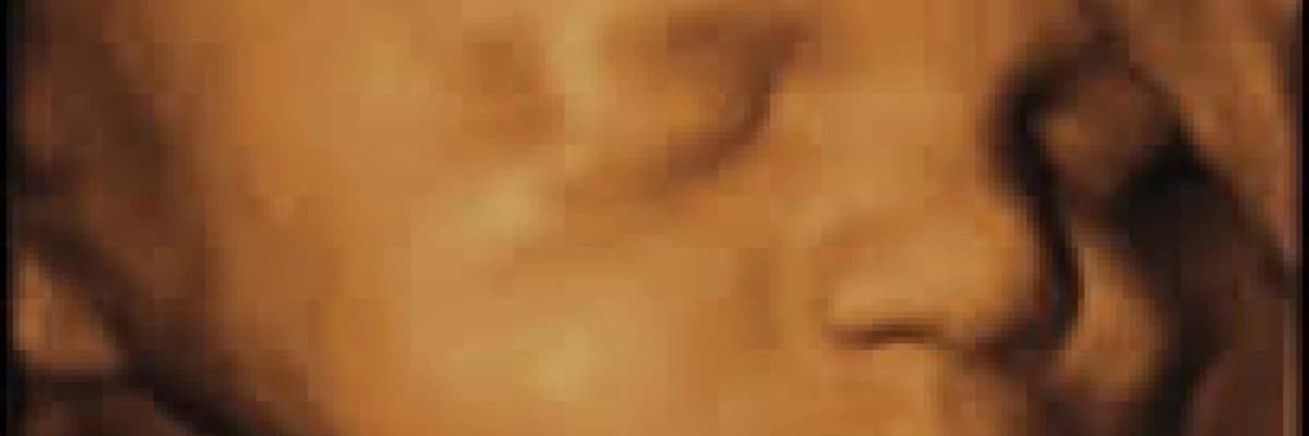 Bebeğin gelişimi ( 21 ile 30.hafta )