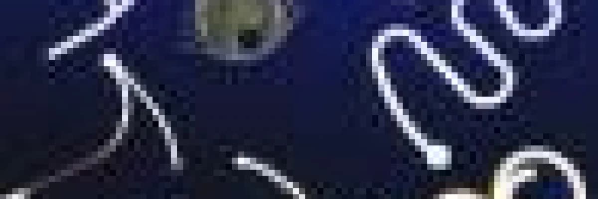 Rahim içi araçlar (spiral, ria)