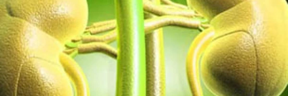 Böbrek hastalıklarının başlıca belirtileri