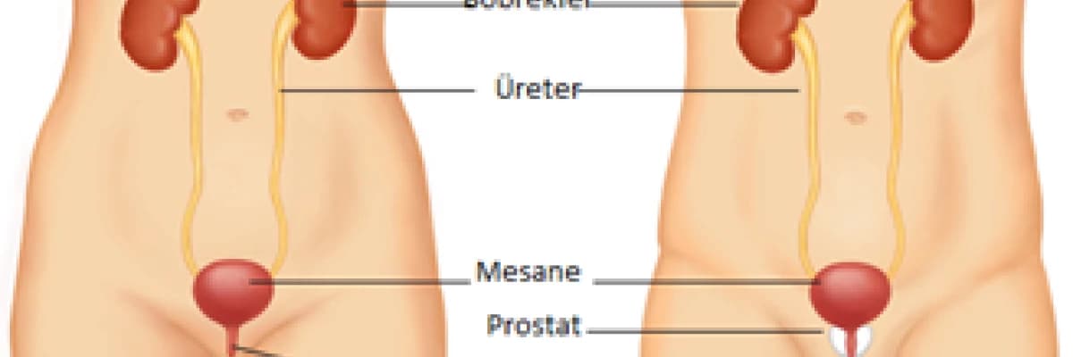 Erişkinlerin kanlı idrar (hematüri), kırmızı idrar yakınması ne anlama gelir?