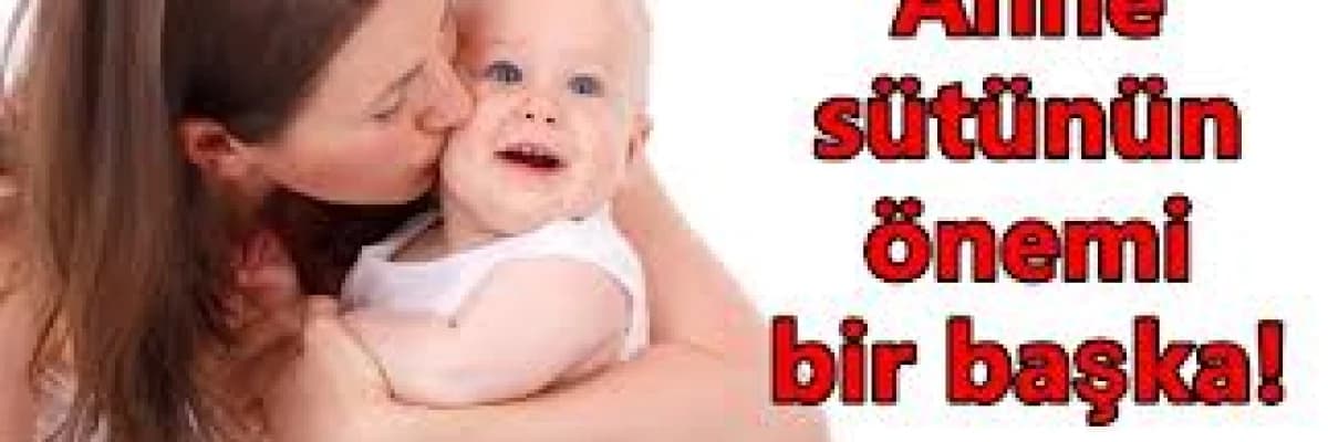 Anne sütünü artıran besinler
