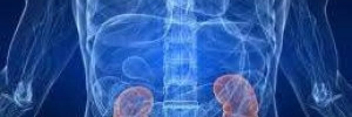 ÜRİNER SİSTEM TAŞ HASTALIĞI (Böbrek Taşları)