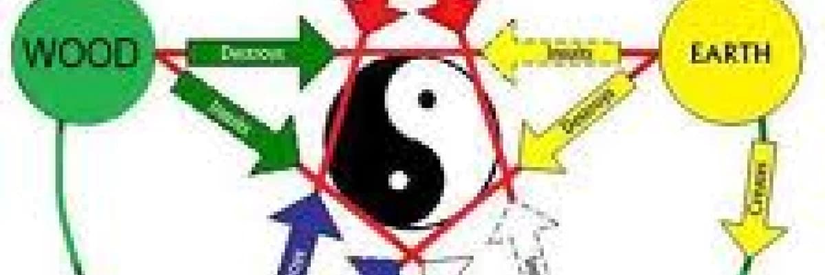 ÇİN FELSEFESİNE GÖRE  Qİ=Çİ