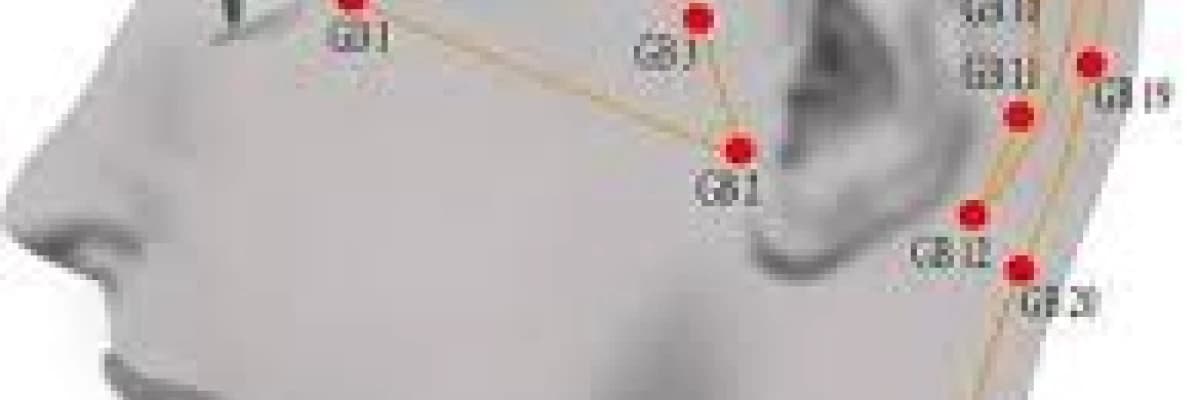 AKUPUNKTURUN TARİHÇESİ ve TÜRKİYE’DE AKUPUNKTUR