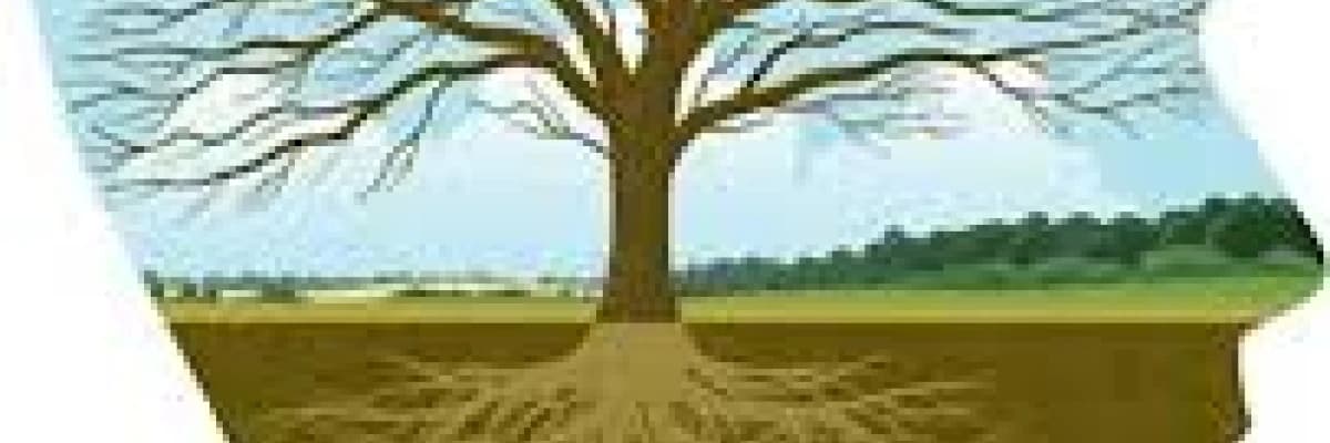 Hipnozun Uygulama Alanları