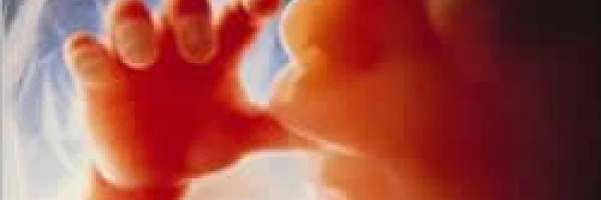 Kimlere Tüp bebek (IVF) yapılmaktadır ?