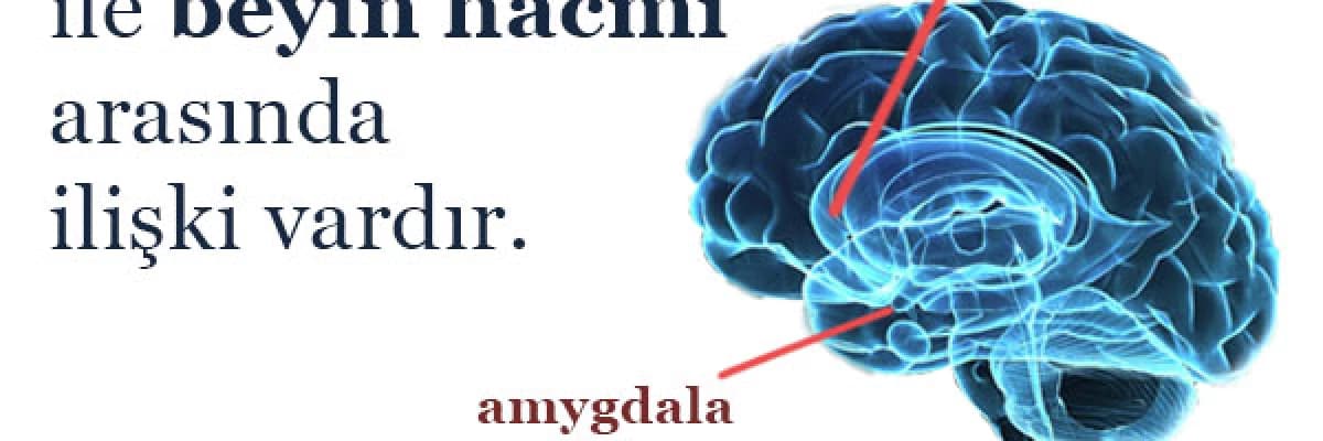 POLİTİK GÖRÜŞÜNÜZ BEYNİNİZİN HACMİNE YANSIR