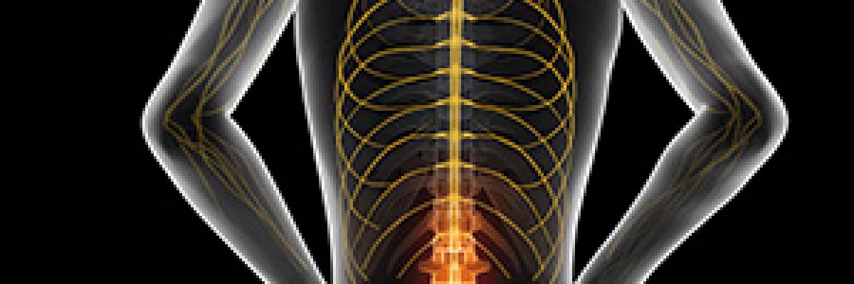 Bel ve Boyun Ağrısı