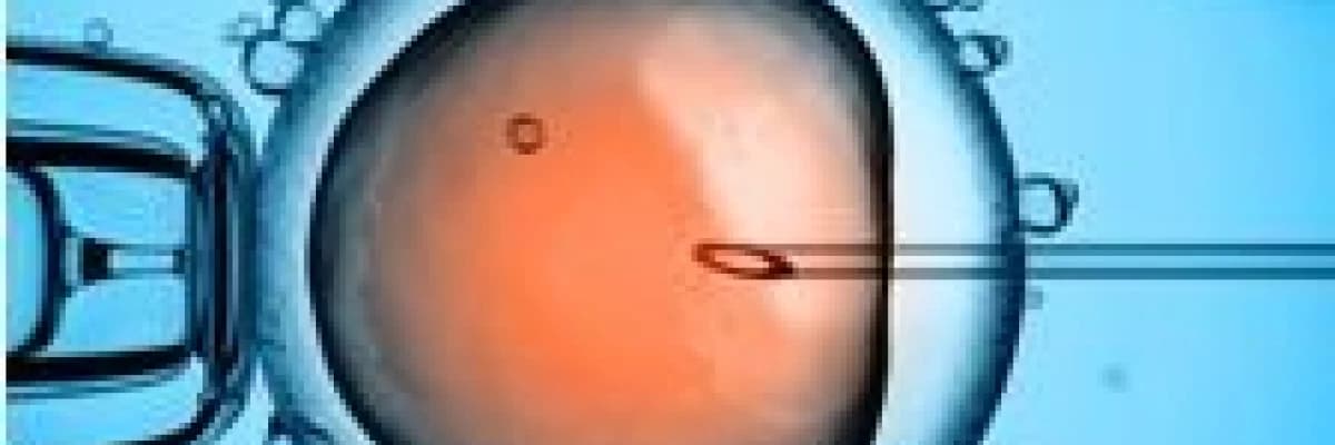 Kısırlık ve Nedenleri,