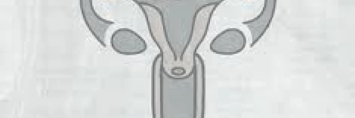 Tüplerin bağlanması (tüp ligasyonu)