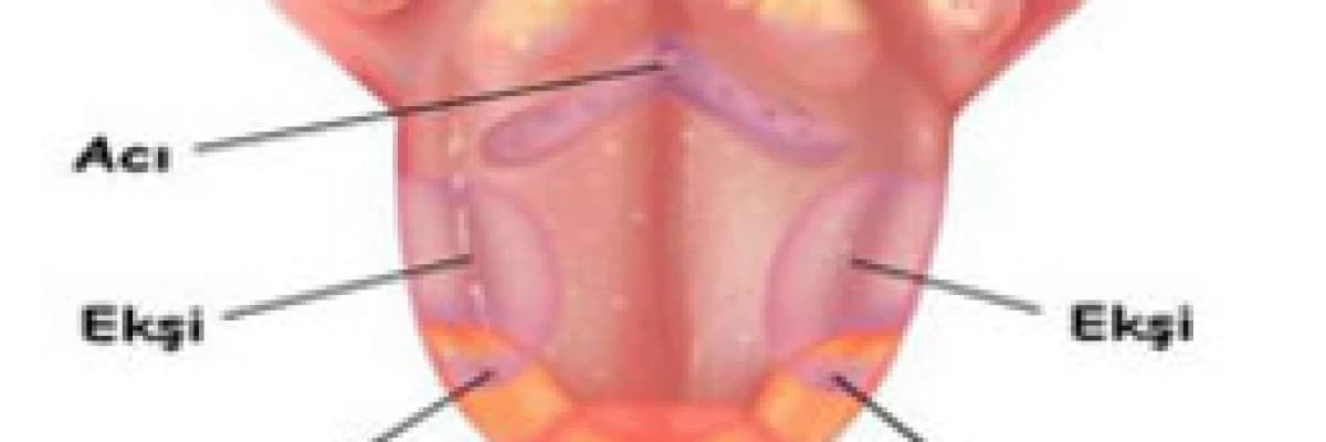 Ağız Kuruluğu Tedavisi Hakkında Bilgiler