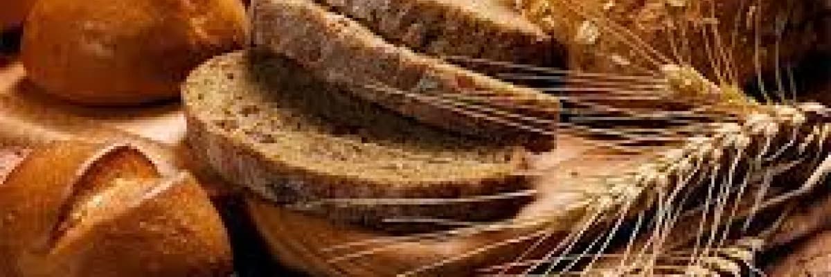 Ekmek Zararlı mı ?