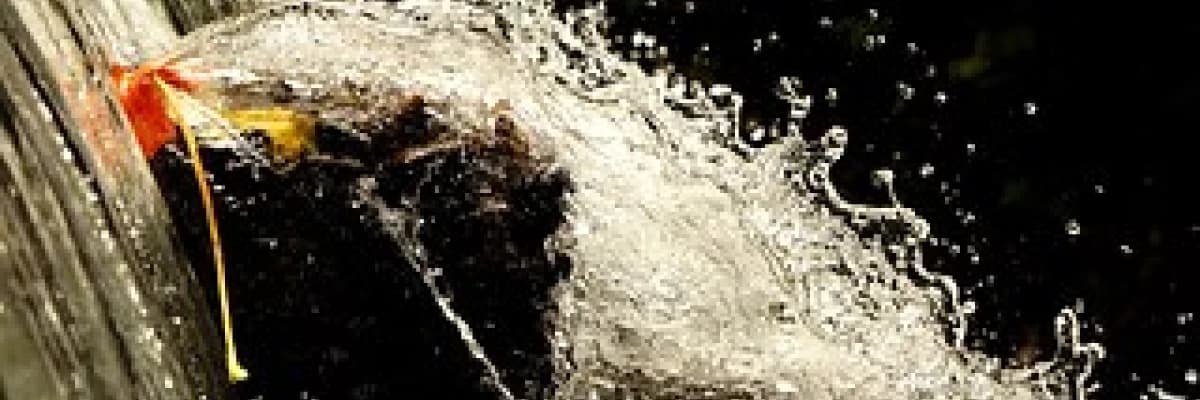 Erken membran rüptürü (emr; suların erken gelmesi) tanı ve tedavisi.