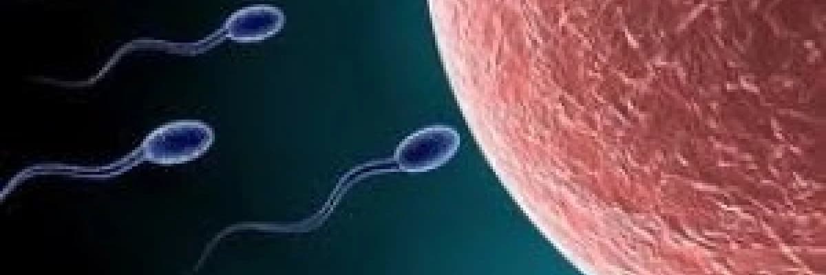 Mini Tüp Bebek Nedir ?