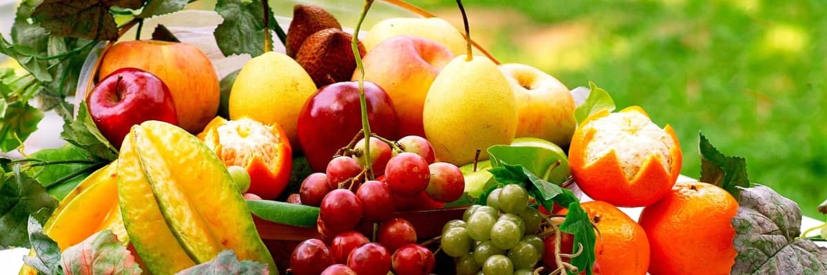 KANSER SAVAR BESİNLER