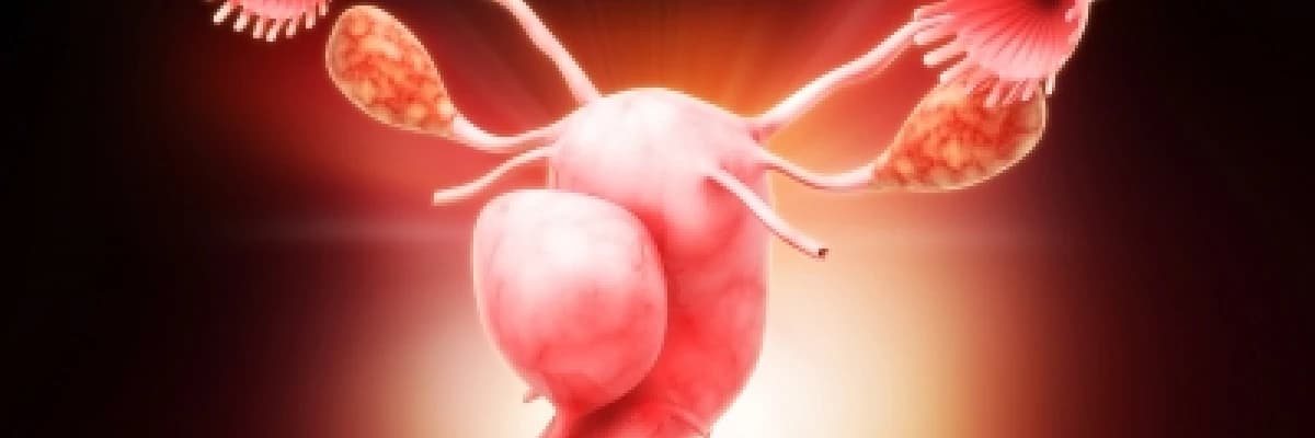 Rahim içinin kamerayla incelenmesi (histeroskopi)