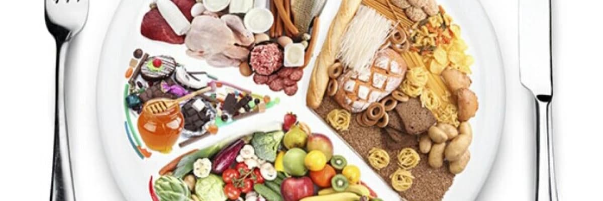 "Tek tip beslenme" gerçekten besler mi?